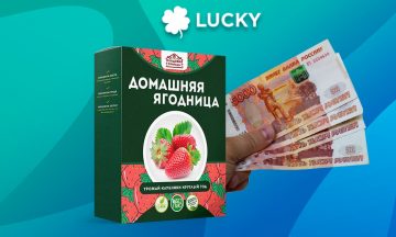 Кейс на Ягодницу за 149