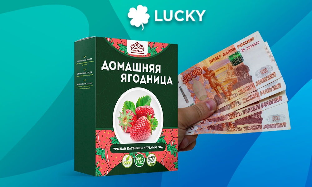 Кейс: Домашняя ягодница и 90 000 рублей за 2 дня!