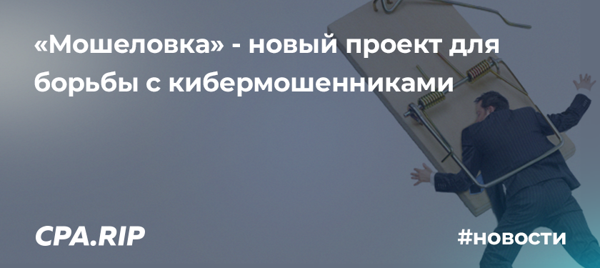 «Мошеловка» — новый проект для борьбы с кибермошенниками