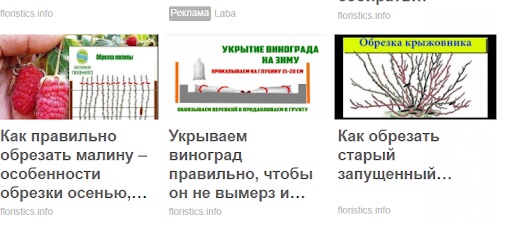 Нативная реклама — как настроить и лить в плюс Нативная реклама — как настроить и лить в плюс