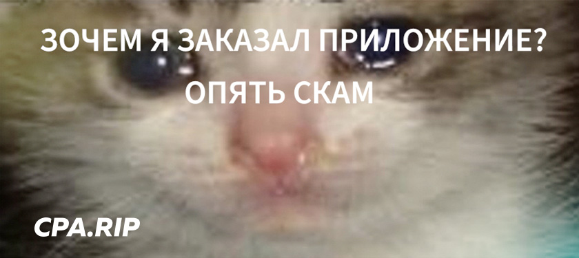 Сколько стоят мобильные приложения? Инструкция как не попасть в просак при заказе приложения.