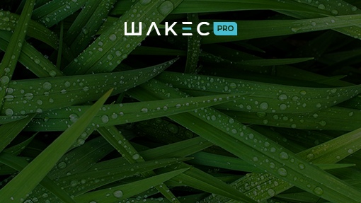 Teaser vs Native Networks: Which Source is Better for Nutra?
