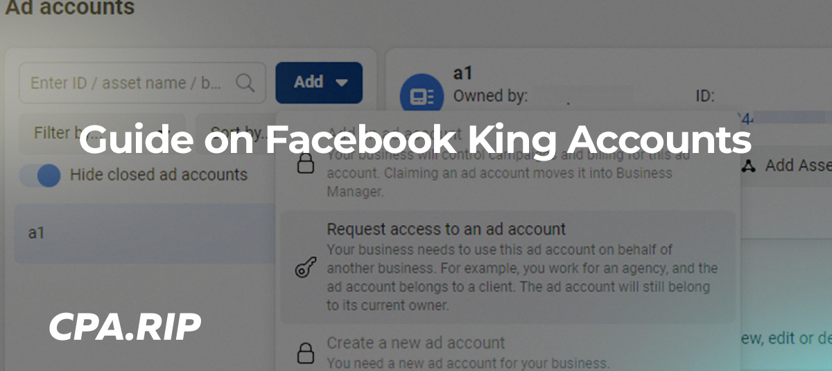 Guide on Facebook King Accounts
