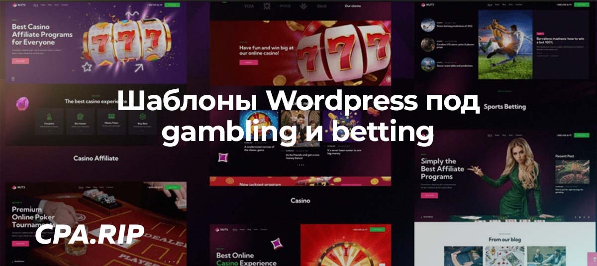 20 WordPress тем и шаблонов для gambling и betting сайтов